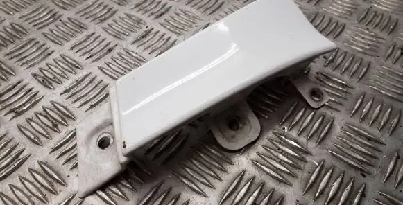 Rear/tail light trim molding