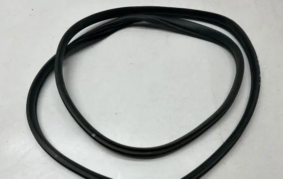 KIA EV6 Rear door rubber seal (on body) 