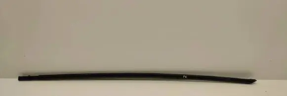 Citroen DS5 Front door glass trim molding