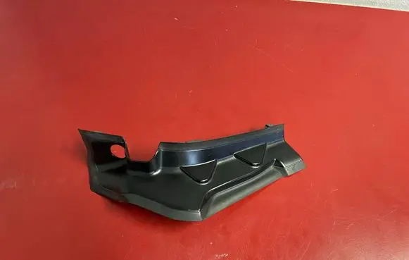 Rear/tail light trim molding