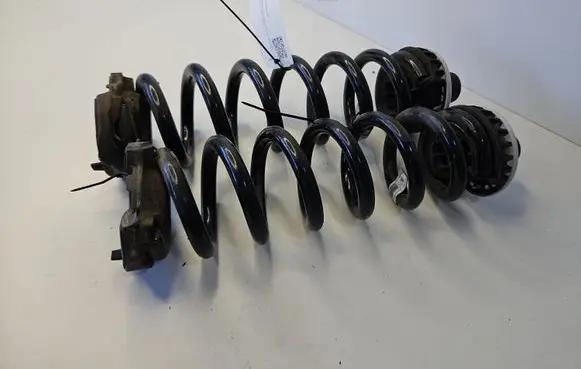 Rear coil spring