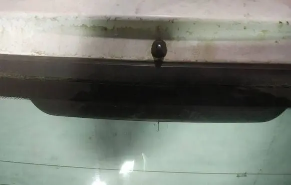 Subaru Legacy Third/center stoplight