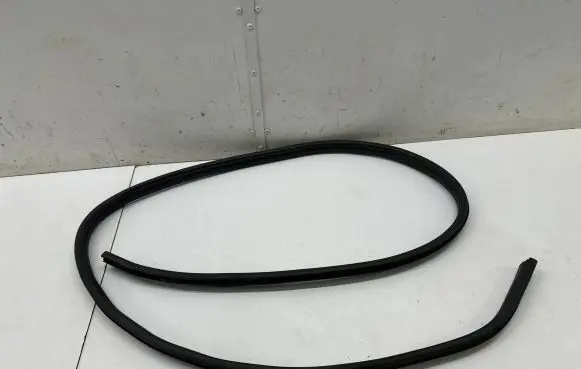 Dacia Spring Rear door rubber seal (on body) 