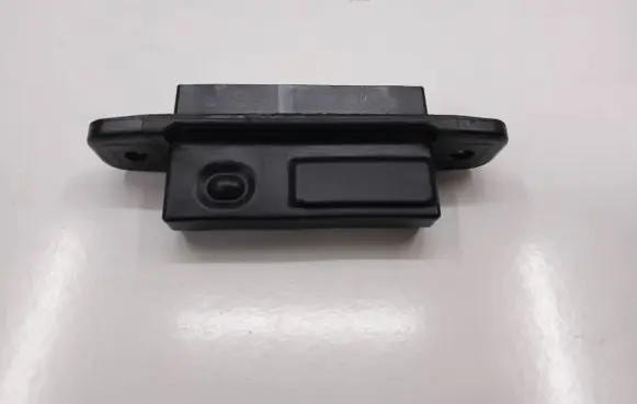 Lexus RX 450H Tailgate opening switch 8484028040