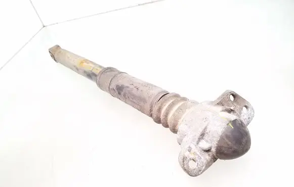 Volkswagen Golf V Rear shock absorber/damper