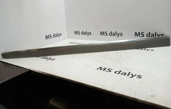Mercedes-Benz GL X164 Front door trim (molding) A1646905162 1646905162