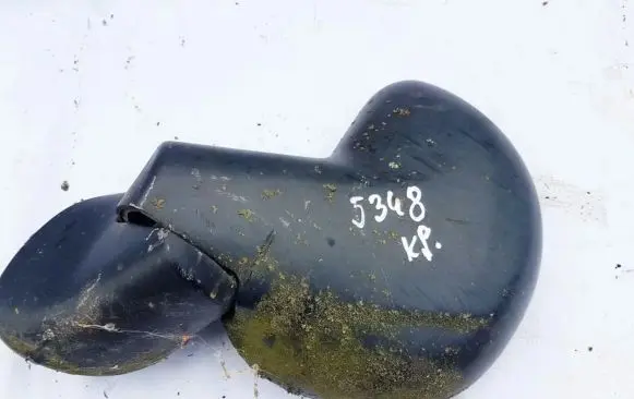 Fiat Multipla Front door electric wing mirror
