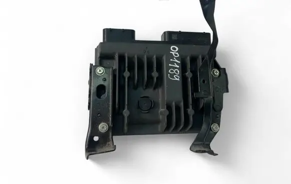 Engine control unit/module ECU
