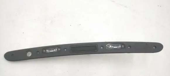 Trunk door license plate light bar