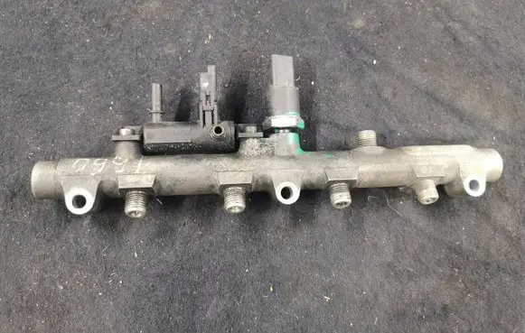 Peugeot 406 Fuel main line pipe 0445214017 972091W180