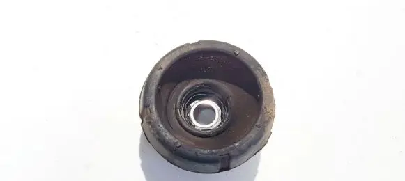 Coil spring mount