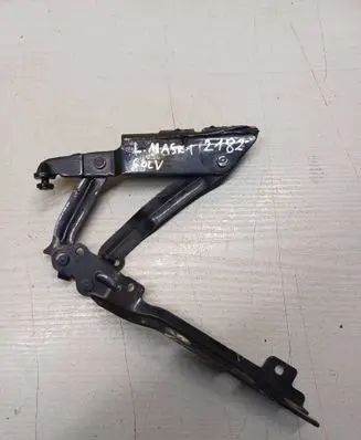 Volkswagen Golf V Engine bonnet/hood hinges 