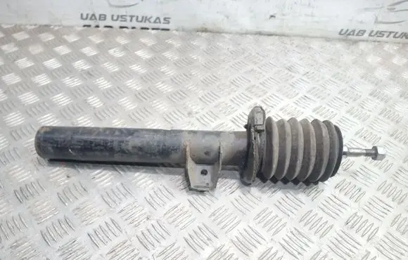 BMW 1 E81 E87 Front shock absorber/damper 313254