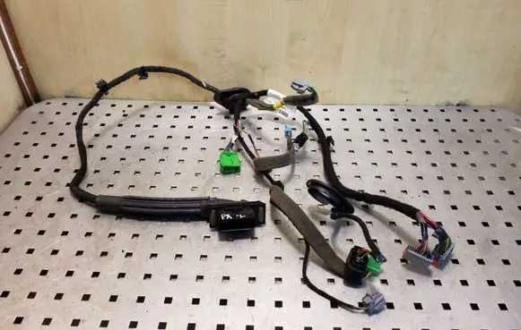 Front door wiring loom