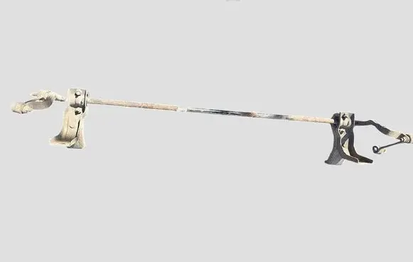 Citroen C5 Rear anti-roll bar/sway bar