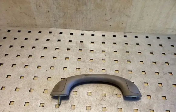 Toyota Land Cruiser (J120) Rear interior roof grab handle