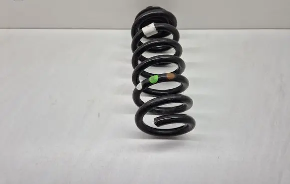 Rear coil spring