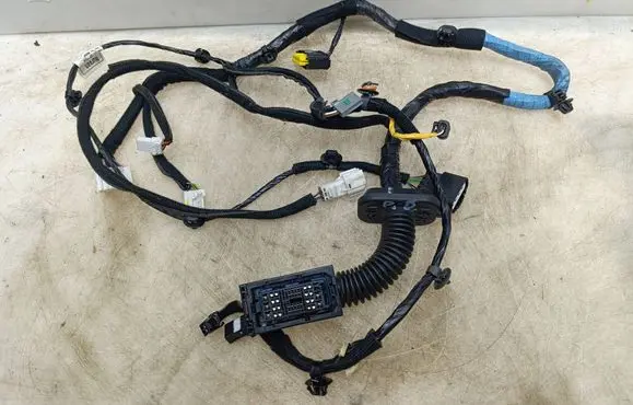 Hyundai Bayon Front door wiring loom 91600Q0170