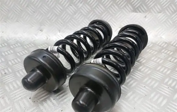 BMW 2 F22 F23 Rear coil spring 6764419
