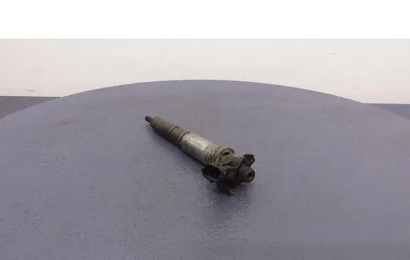 Renault Espace - Grand espace IV Fuel injector 0445115084