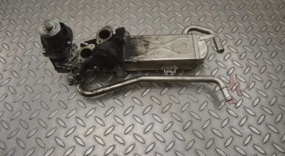 Volkswagen Polo V 6R EGR valve
