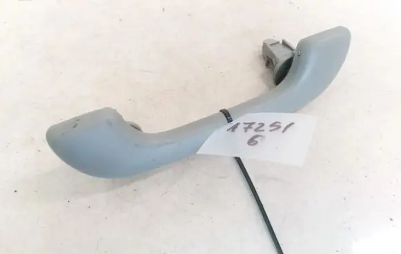 Renault Scenic I Front interior roof grab handle 1020006