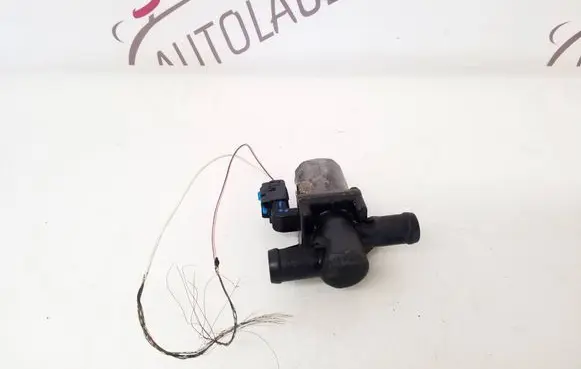 Renault Express Electric auxiliary coolant/water pump 212309316R