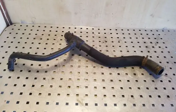 Renault Scenic I Engine coolant pipe/hose