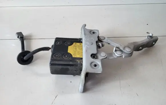 Hyundai Santa Fe Engine bonnet/hood hinges 791502W000