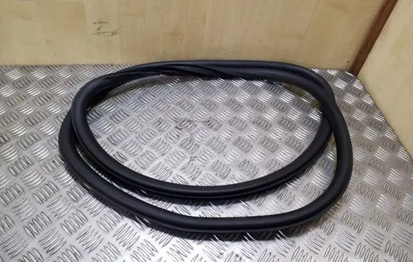 Opel Insignia A Rear door rubber seal (on body) 