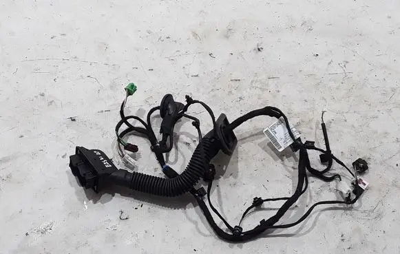 Other wiring loom