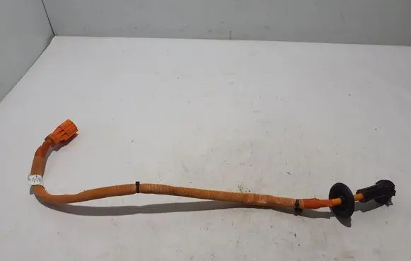 Porsche Panamera (971) Other wiring loom 971971602A