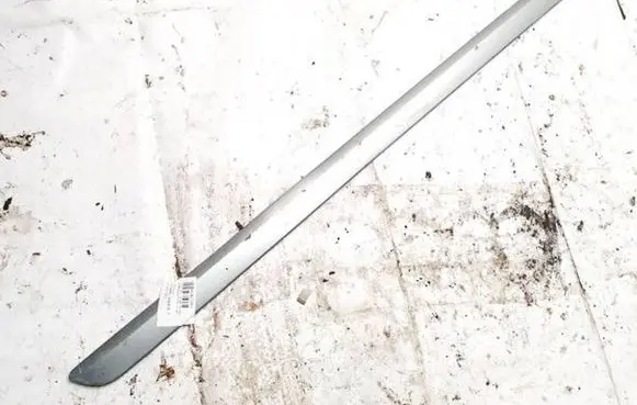 Front door trim (molding)