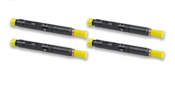 Renault Kangoo I Fuel injector 28232248 002003000098R 06705010