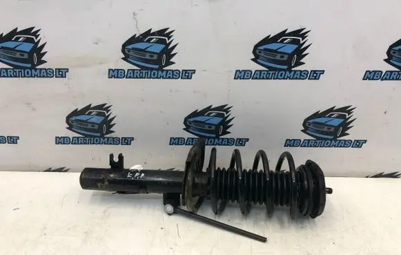 Citroen C4 Cactus Front shock absorber with coil spring 9811879180