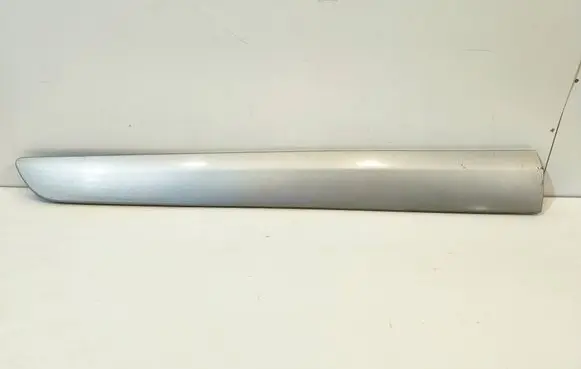 Front door trim (molding)