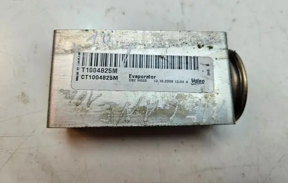 Renault Megane III Air conditioning (A/C) expansion valve T1004825M