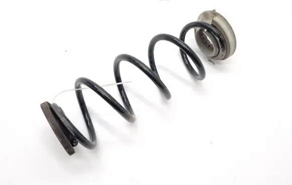 Nissan Murano Z52 Rear coil spring 550326RN0A