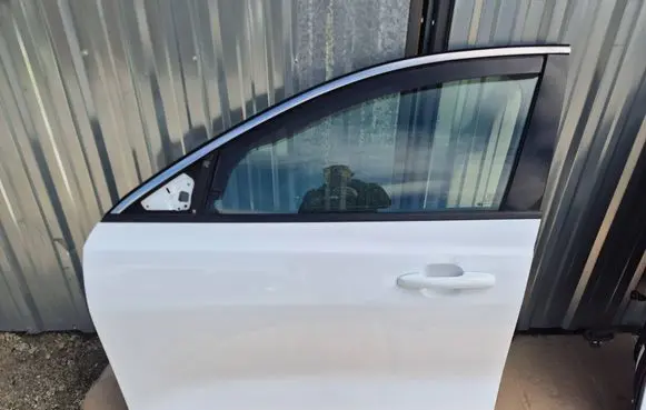 Ford Focus Front door 