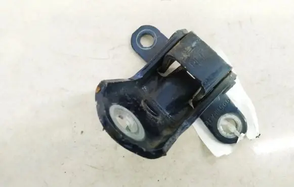 Ford Fiesta Rear door lower hinge
