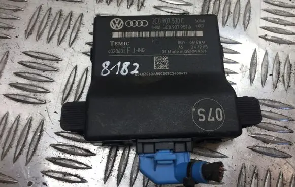 Volkswagen PASSAT B6 Gateway control module 3C0907530C 8182