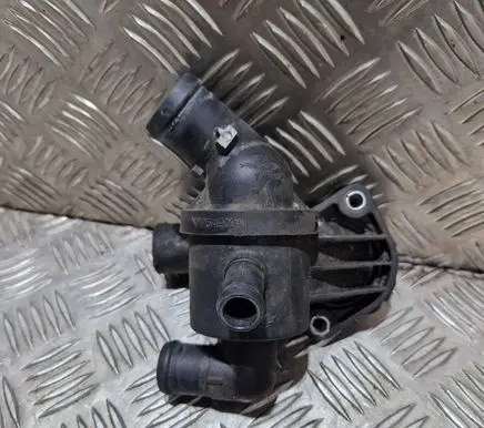 Thermostat/thermostat housing
