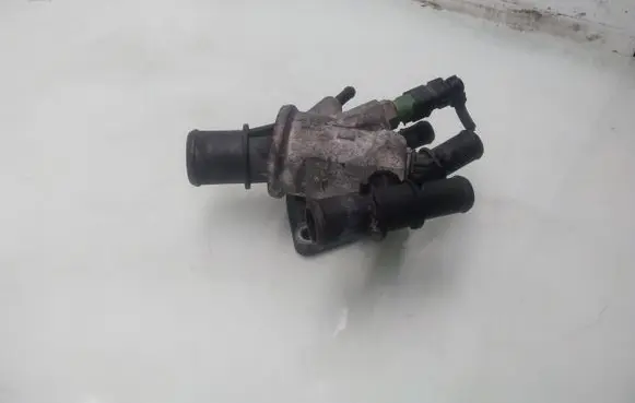 Thermostat/thermostat housing