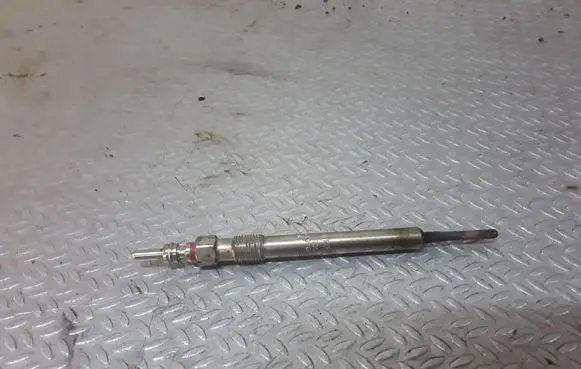 Volkswagen PASSAT B6 Glow plug 0250403007