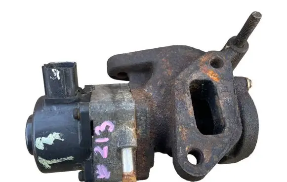 Nissan Terrano EGR valve