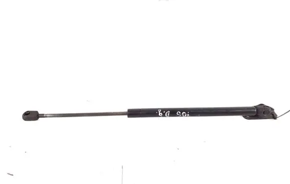 Tailgate strut