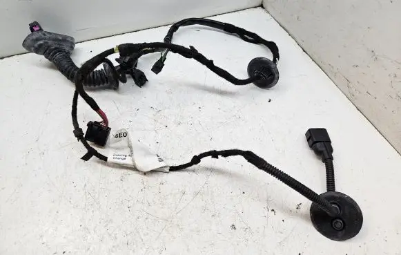 Audi A8 S8 D3 4E Front door wiring loom 4E0971030CL