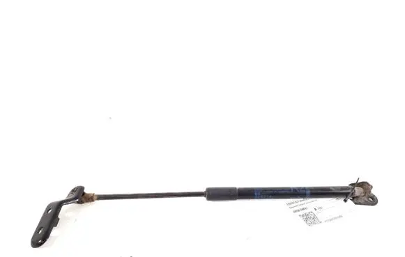 Tailgate strut