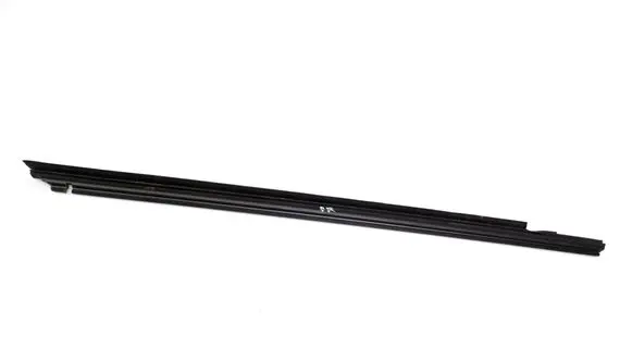 Lexus NX Front door glass trim molding 