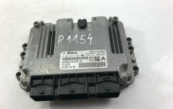 Peugeot Partner Other control units/modules 9666975480 P1154